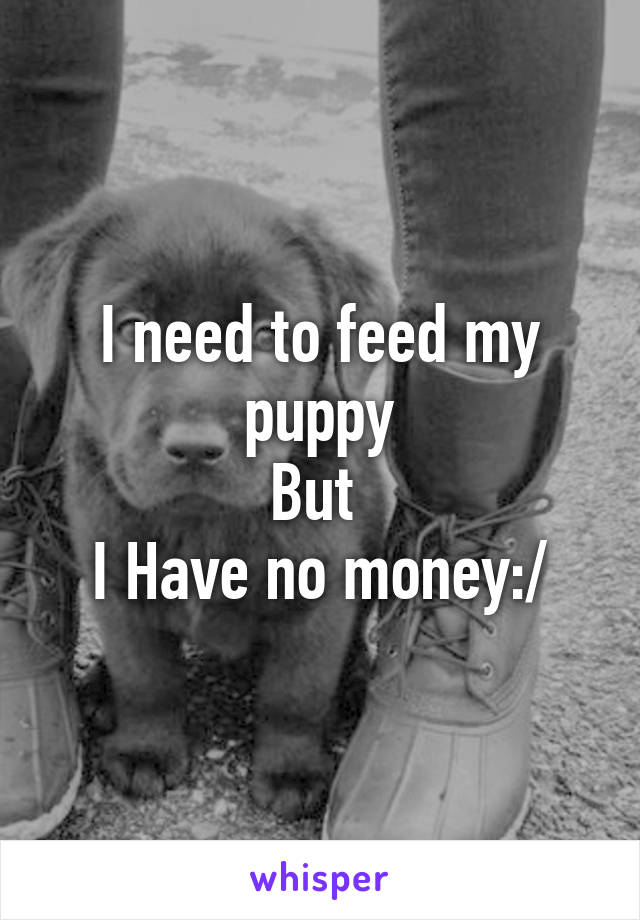 I need to feed my puppy
But 
I Have no money:/