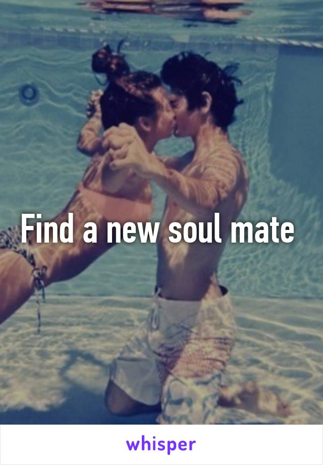 Find a new soul mate 