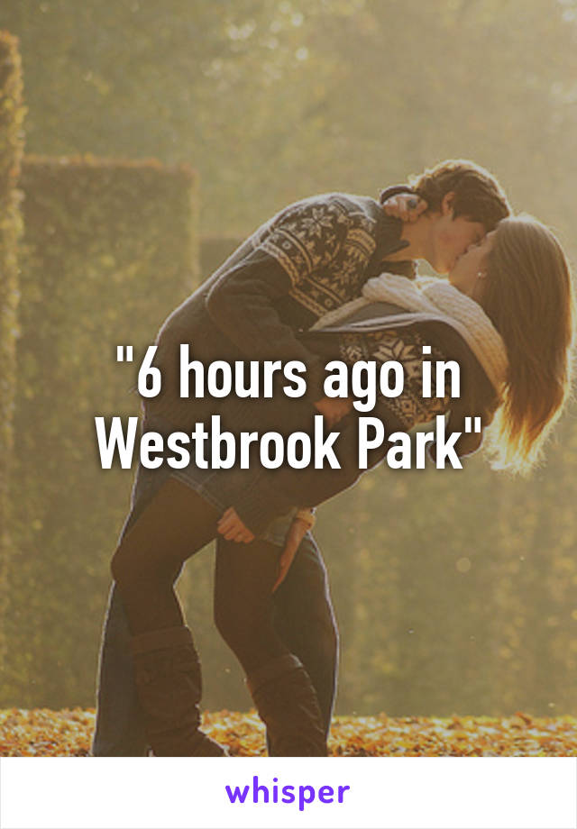 "6 hours ago in Westbrook Park"