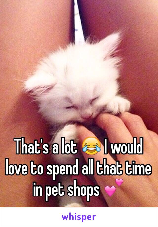 That's a lot 😂 I would love to spend all that time in pet shops 💕