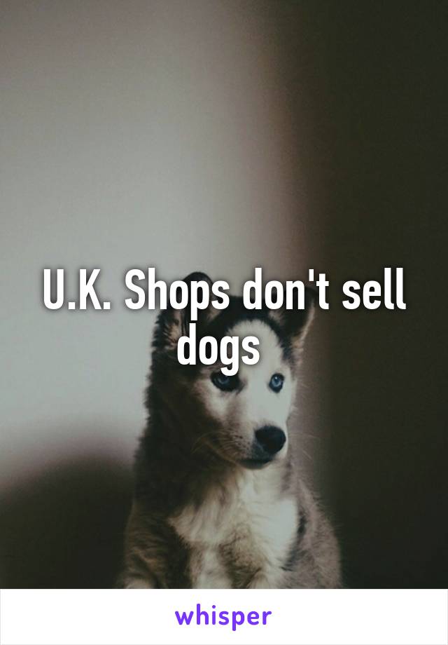 U.K. Shops don't sell dogs 