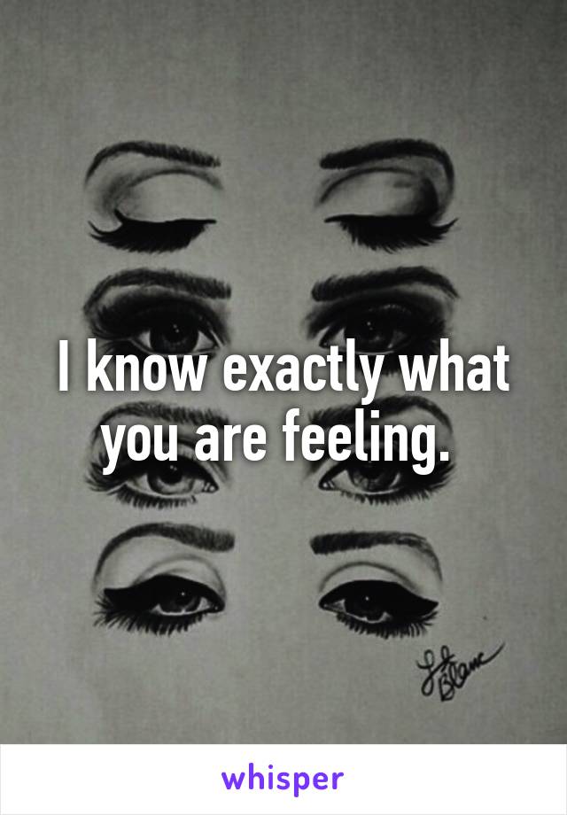 I know exactly what you are feeling. 