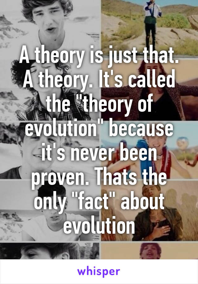 A theory is just that. A theory. It's called the "theory of evolution" because it's never been proven. Thats the only "fact" about evolution