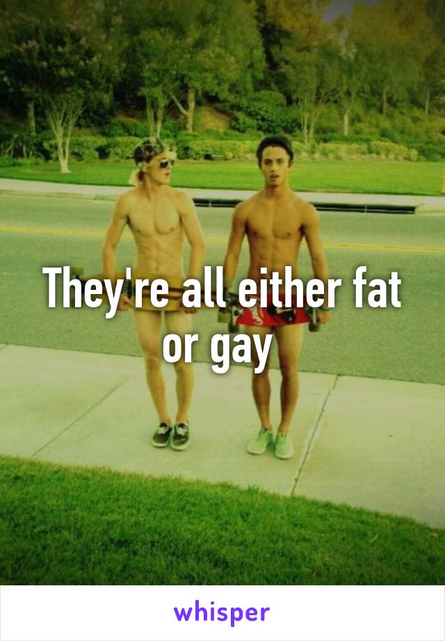 They're all either fat or gay 