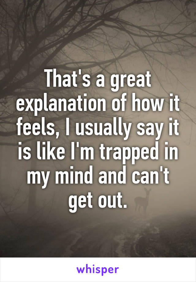 That's a great explanation of how it feels, I usually say it is like I'm trapped in my mind and can't get out.