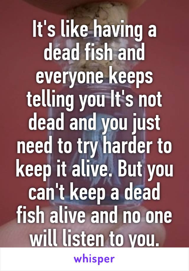 It's like having a dead fish and everyone keeps telling you It's not dead and you just need to try harder to keep it alive. But you can't keep a dead fish alive and no one will listen to you.