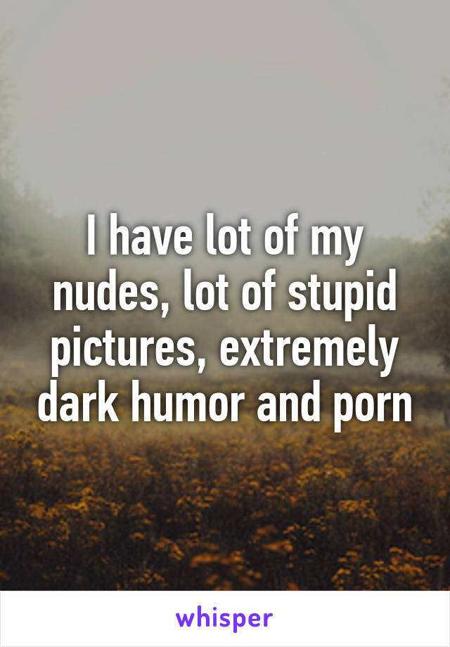 I have lot of my nudes, lot of stupid pictures, extremely dark humor and porn