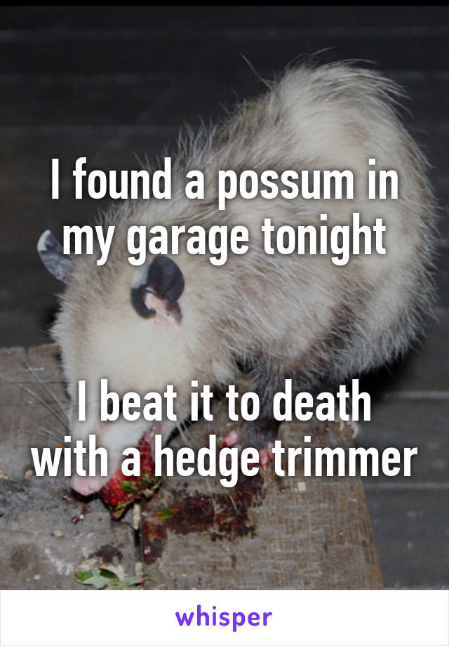 I found a possum in my garage tonight


I beat it to death with a hedge trimmer