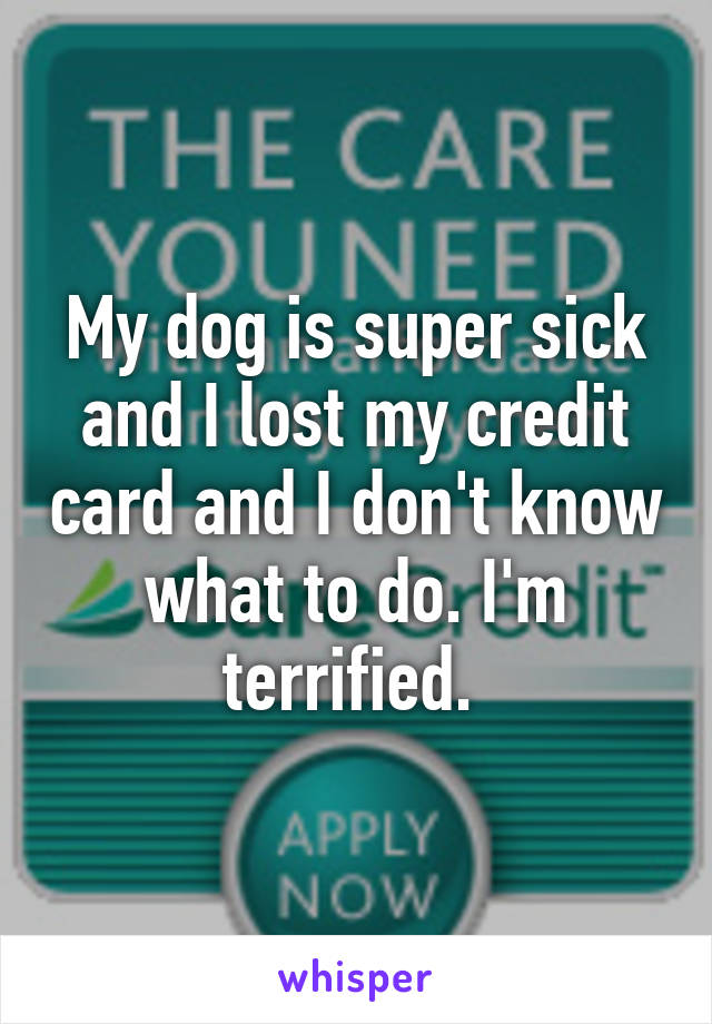 My dog is super sick and I lost my credit card and I don't know what to do. I'm terrified. 