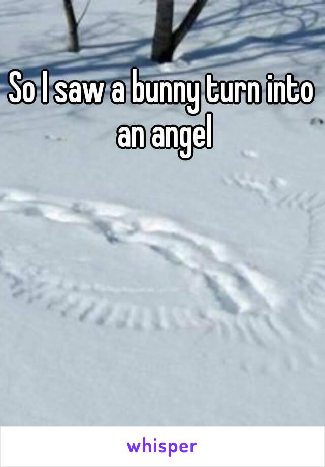 So I saw a bunny turn into an angel