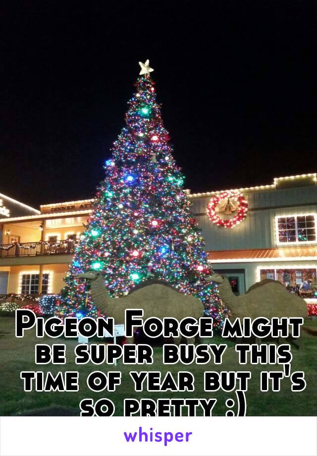 Pigeon Forge might be super busy this time of year but it's so pretty :)