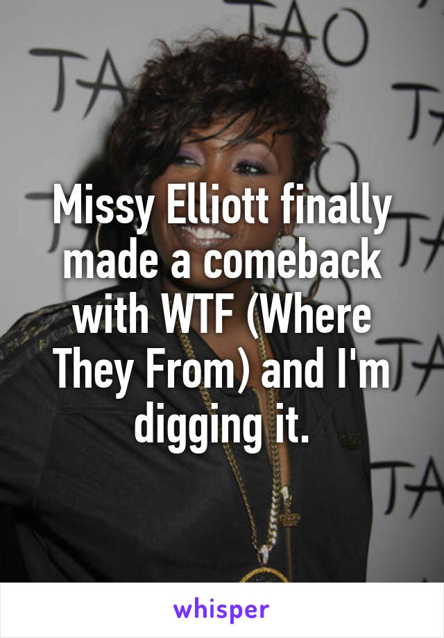 Missy Elliott finally made a comeback with WTF (Where They From) and I'm digging it.