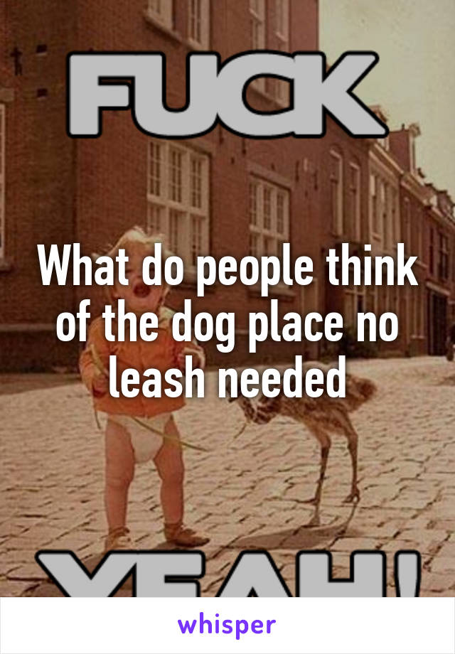 What do people think of the dog place no leash needed