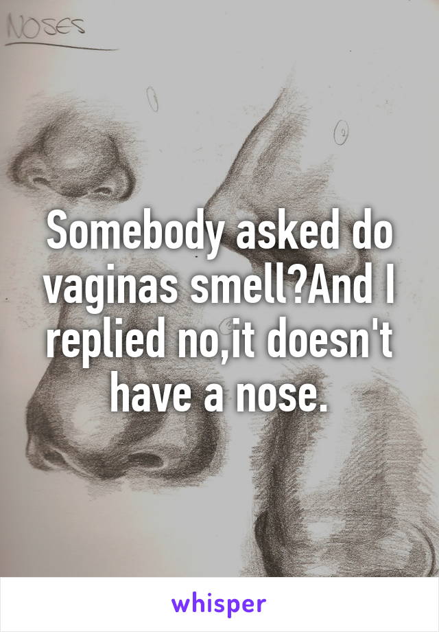 Somebody asked do vaginas smell?And I replied no,it doesn't have a nose.