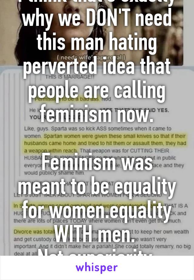 I think that's exactly why we DON'T need this man hating perverted idea that people are calling feminism now.

Feminism was meant to be equality for women.equality WITH men. 
Not superiority.
