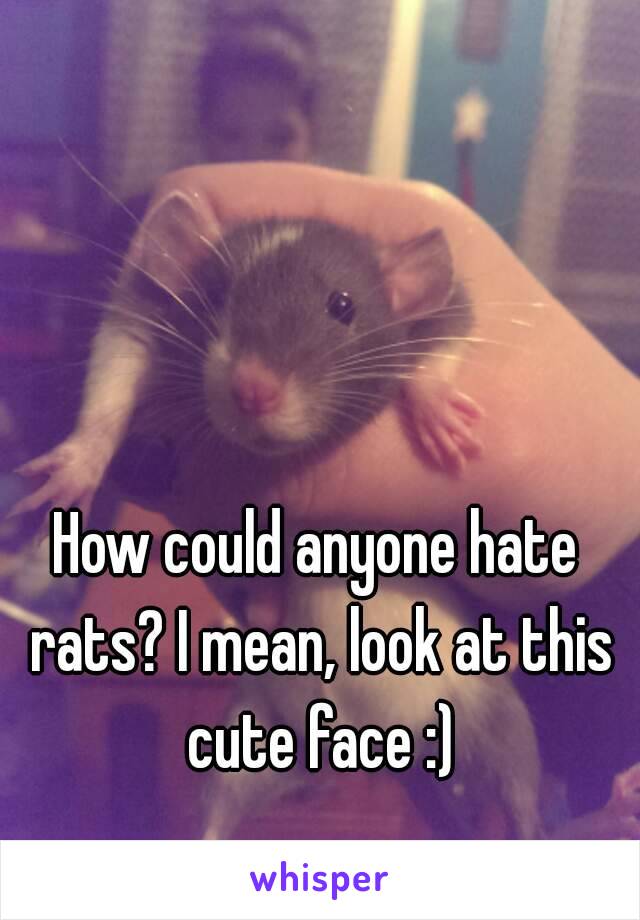 How could anyone hate rats? I mean, look at this cute face :)