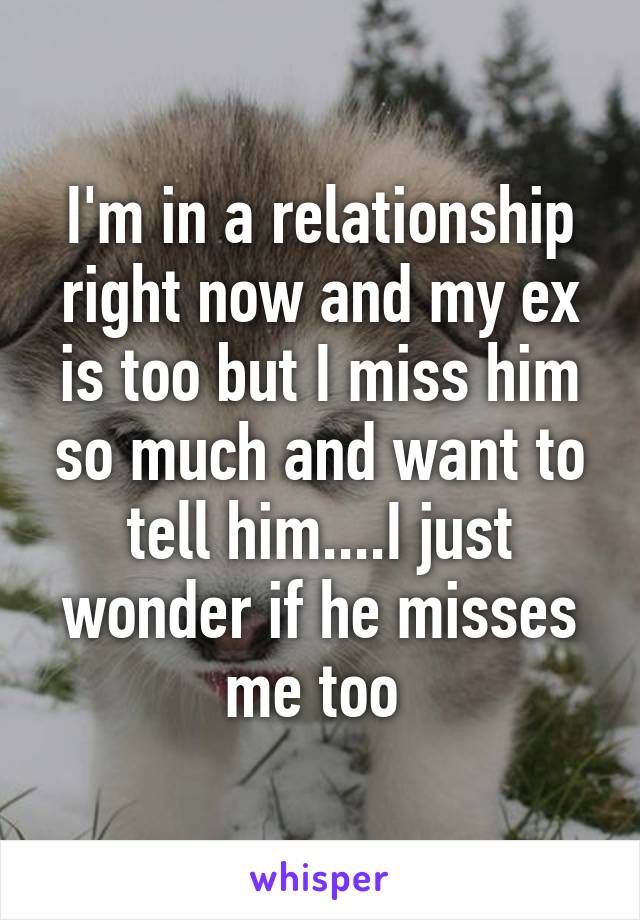 I'm in a relationship right now and my ex is too but I miss him so much and want to tell him....I just wonder if he misses me too 
