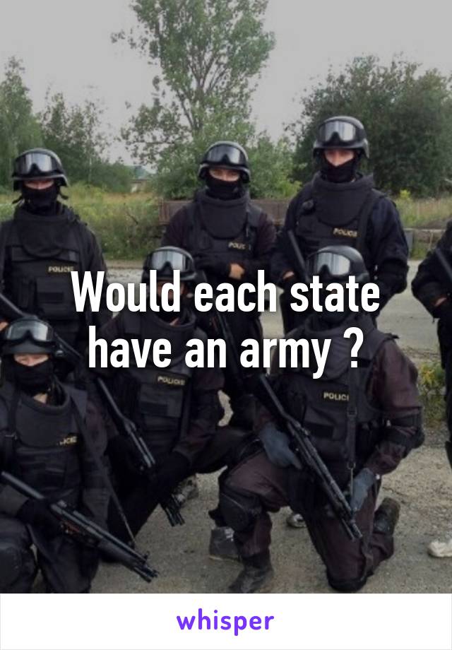 Would each state have an army ?