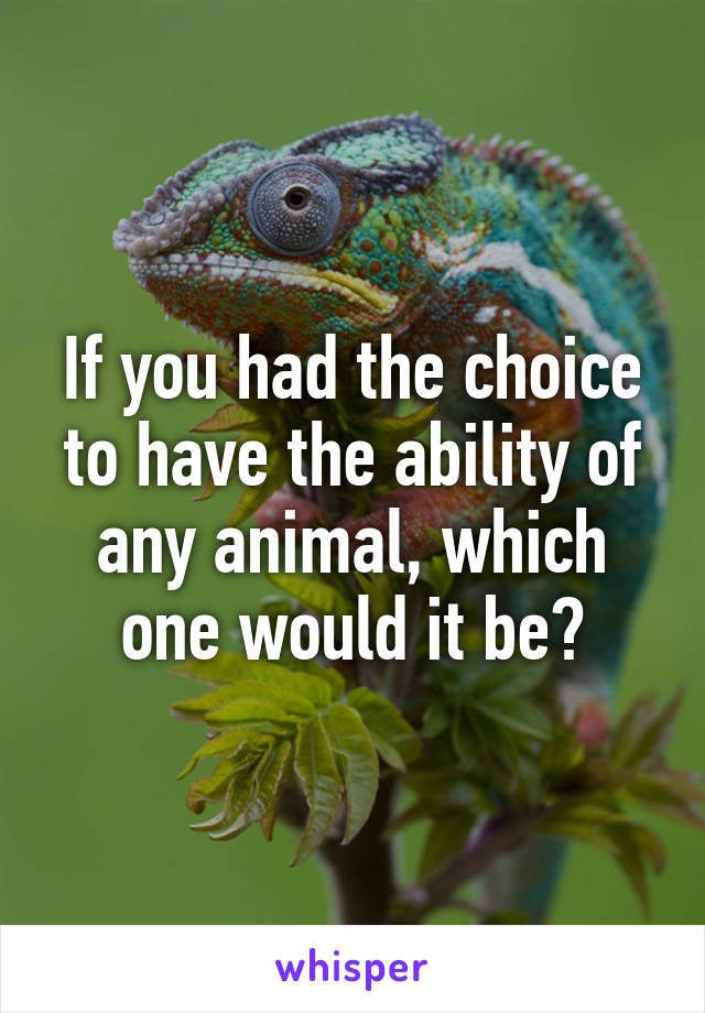 If you had the choice to have the ability of any animal, which one would it be?