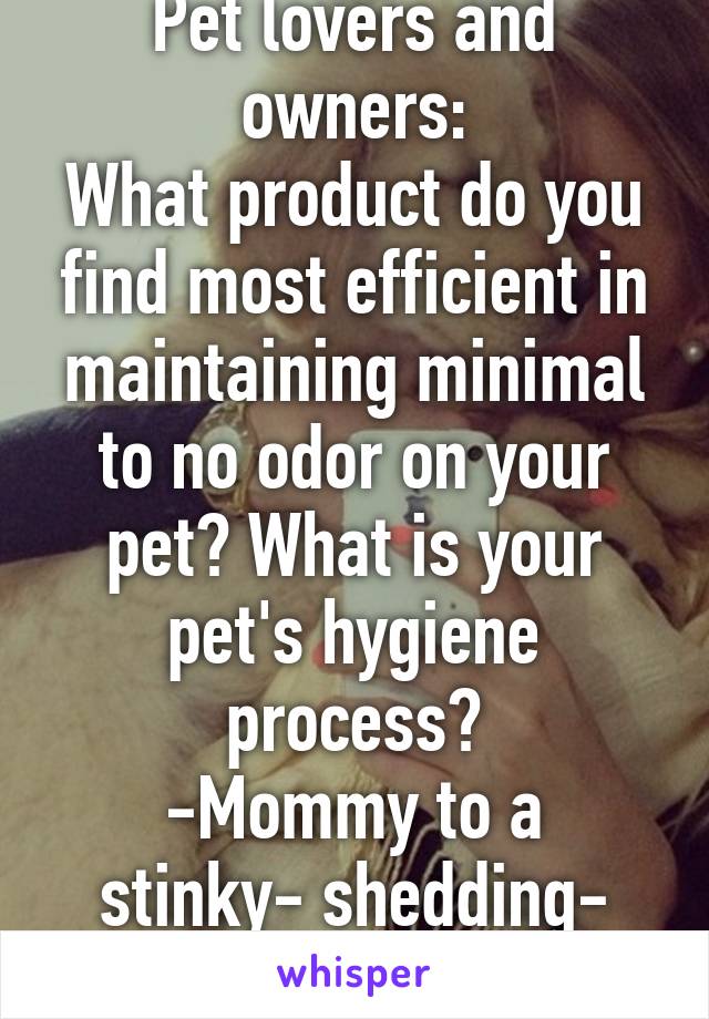 Pet lovers and owners:
What product do you find most efficient in maintaining minimal to no odor on your pet? What is your pet's hygiene process?
-Mommy to a stinky- shedding- indoor Pitbull 