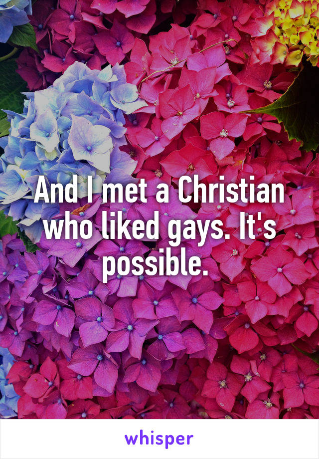And I met a Christian who liked gays. It's possible. 