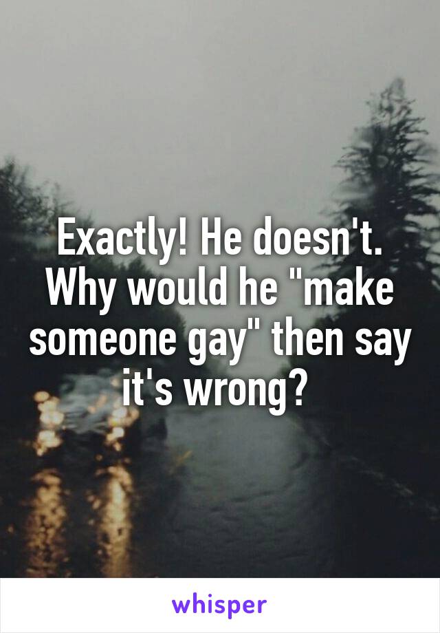 Exactly! He doesn't. Why would he "make someone gay" then say it's wrong? 
