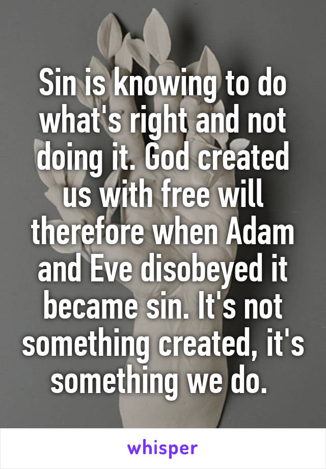 Sin is knowing to do what's right and not doing it. God created us with free will therefore when Adam and Eve disobeyed it became sin. It's not something created, it's something we do. 