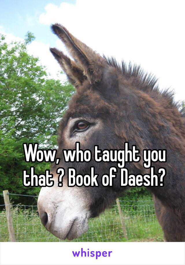 Wow, who taught you that ? Book of Daesh?