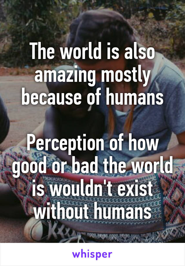 The world is also amazing mostly because of humans

Perception of how good or bad the world is wouldn't exist without humans