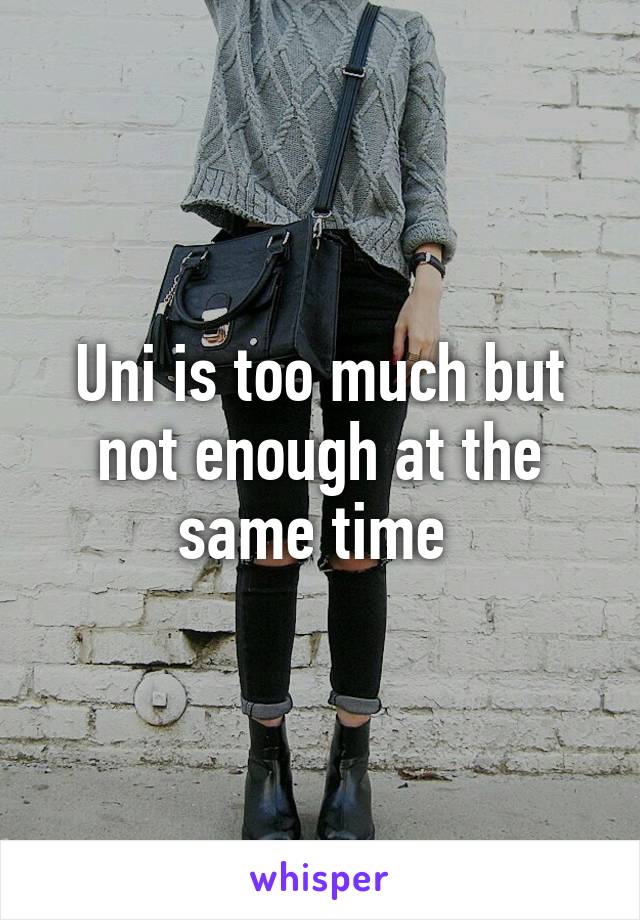 Uni is too much but not enough at the same time 