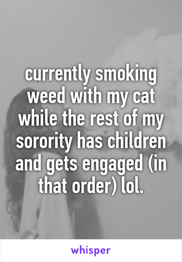 currently smoking weed with my cat while the rest of my sorority has children and gets engaged (in that order) lol.