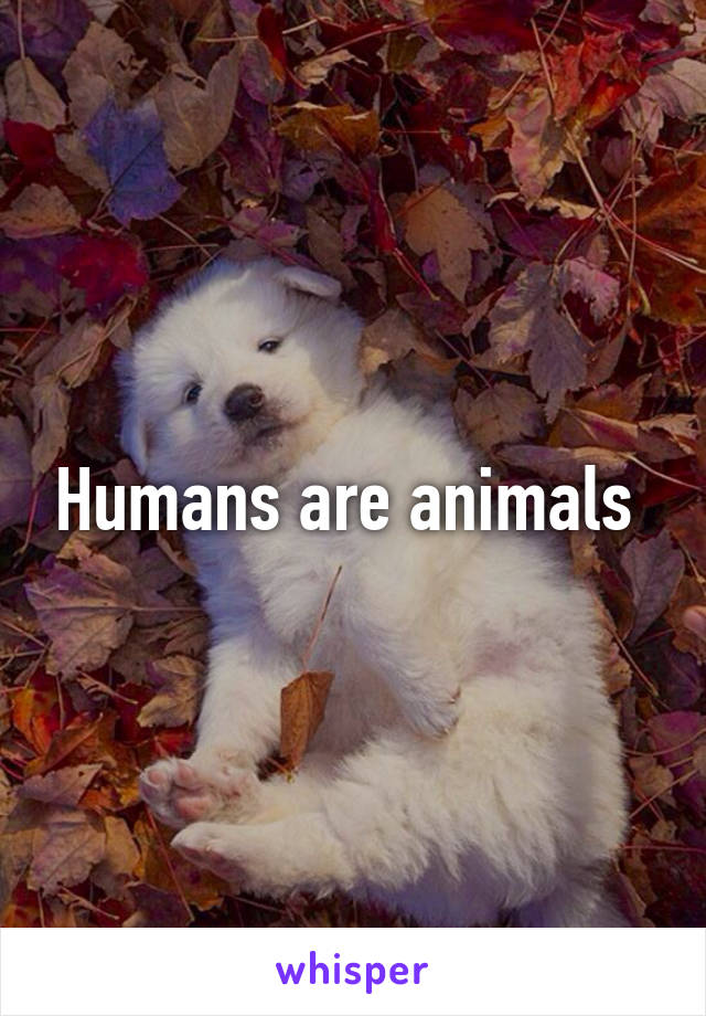 Humans are animals 