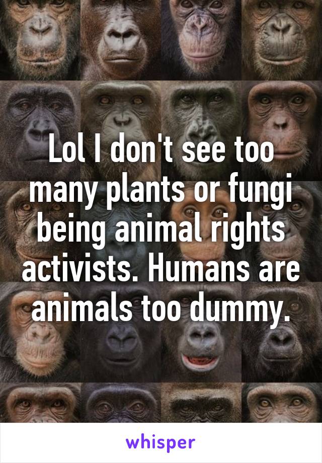 Lol I don't see too many plants or fungi being animal rights activists. Humans are animals too dummy.