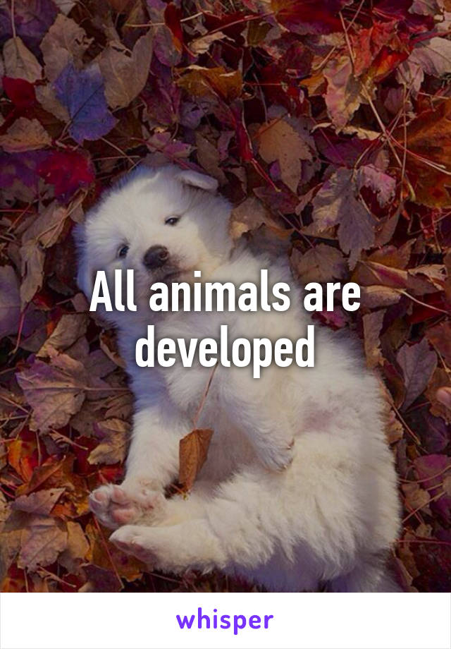 All animals are developed