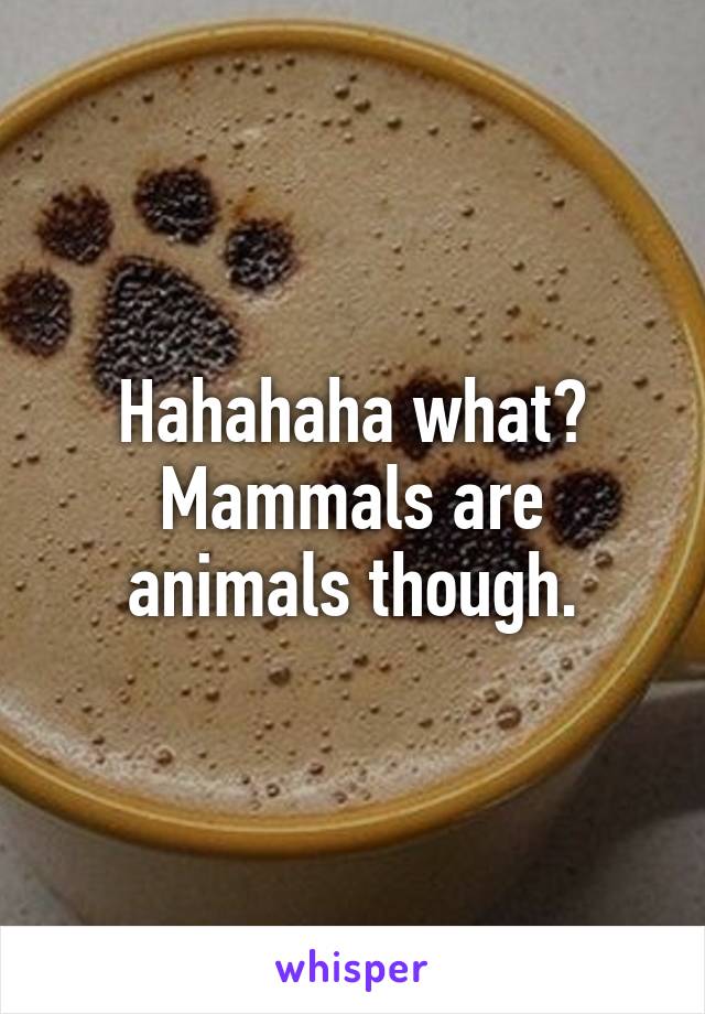 Hahahaha what? Mammals are animals though.