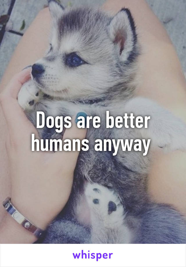 Dogs are better humans anyway 