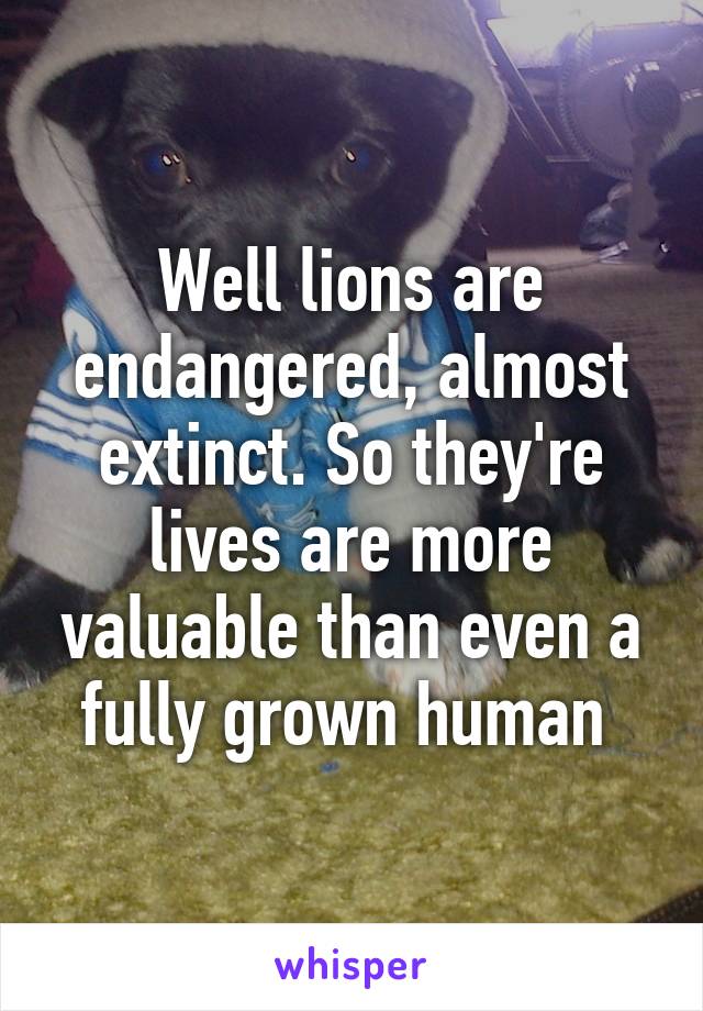 Well lions are endangered, almost extinct. So they're lives are more valuable than even a fully grown human 