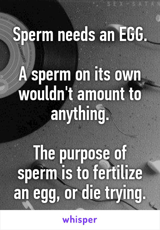 Sperm needs an EGG.

A sperm on its own wouldn't amount to anything.

The purpose of sperm is to fertilize an egg, or die trying.