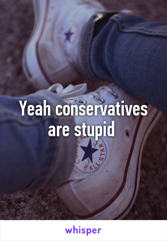 Yeah conservatives are stupid 