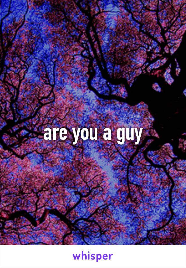 are you a guy