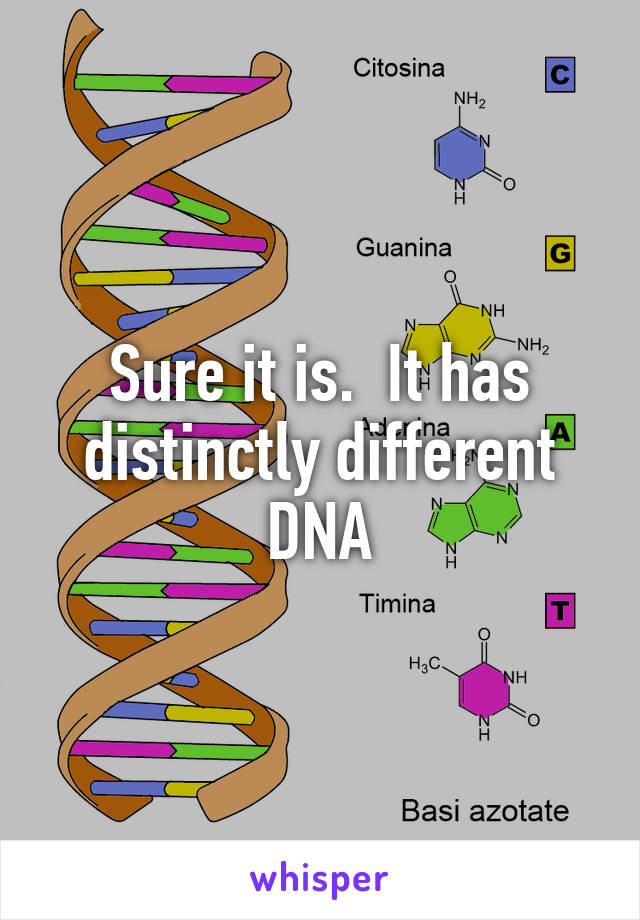 Sure it is.  It has distinctly different DNA