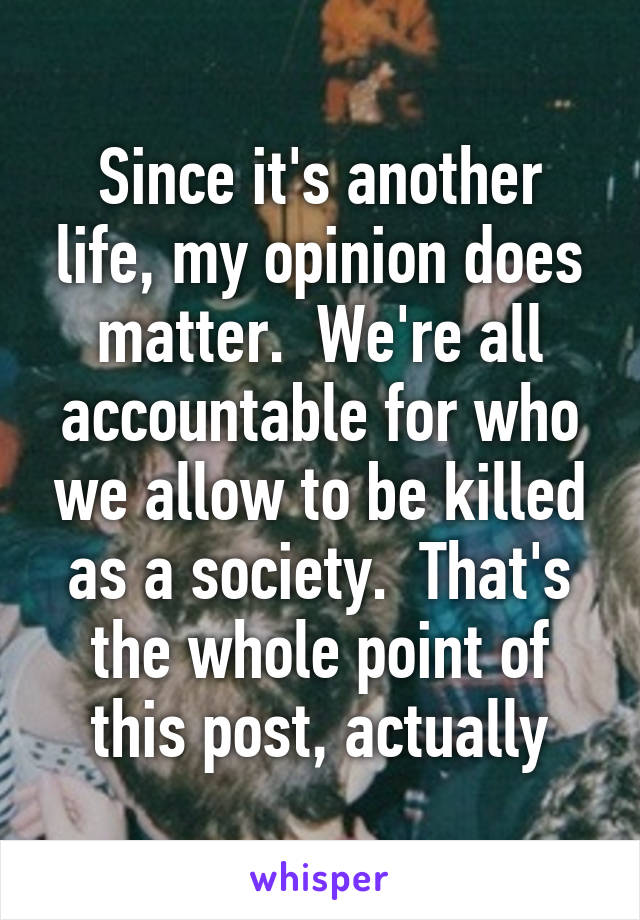 Since it's another life, my opinion does matter.  We're all accountable for who we allow to be killed as a society.  That's the whole point of this post, actually