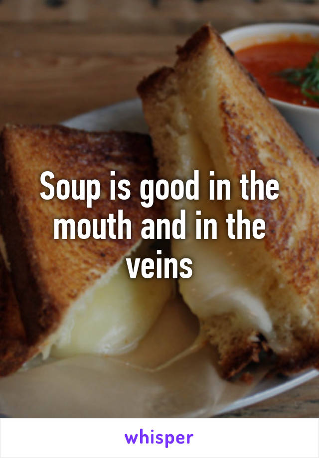 Soup is good in the mouth and in the veins