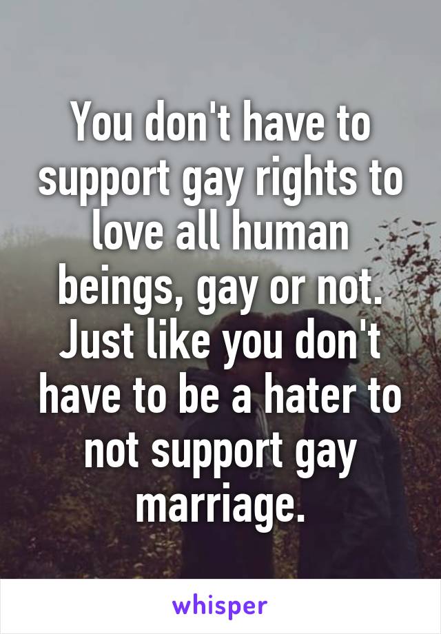 You don't have to support gay rights to love all human beings, gay or not.
Just like you don't have to be a hater to not support gay marriage.