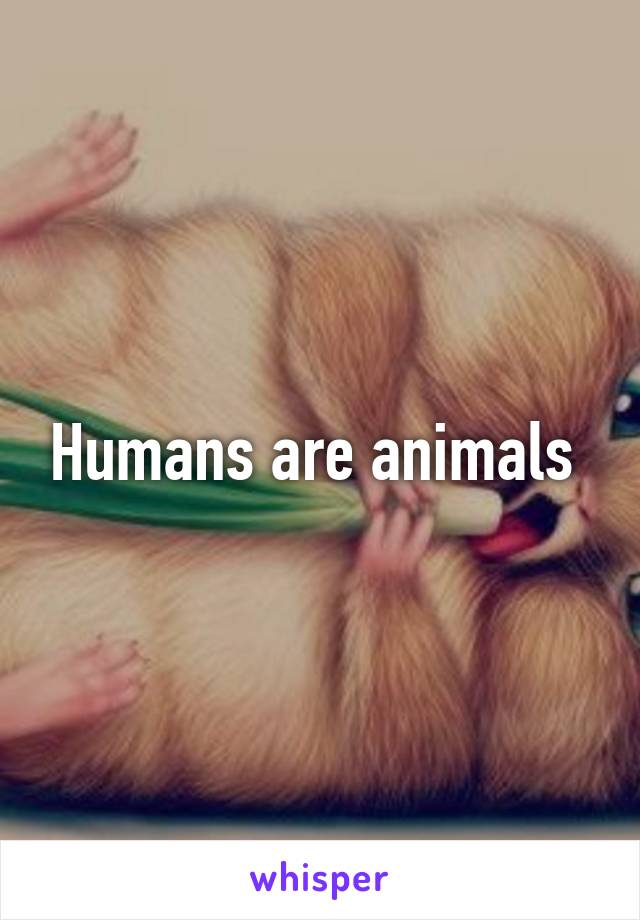 Humans are animals 