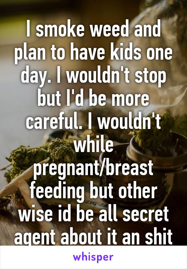 I smoke weed and plan to have kids one day. I wouldn't stop but I'd be more careful. I wouldn't while pregnant/breast feeding but other wise id be all secret agent about it an shit