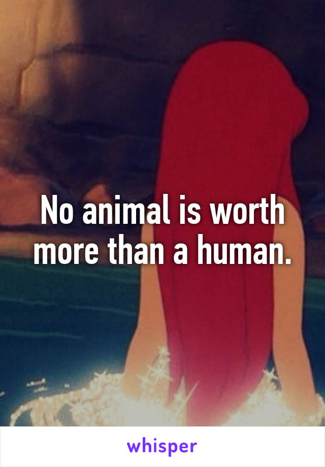 No animal is worth more than a human.