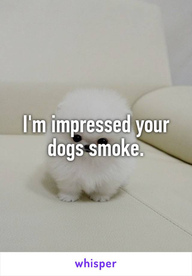 I'm impressed your dogs smoke.