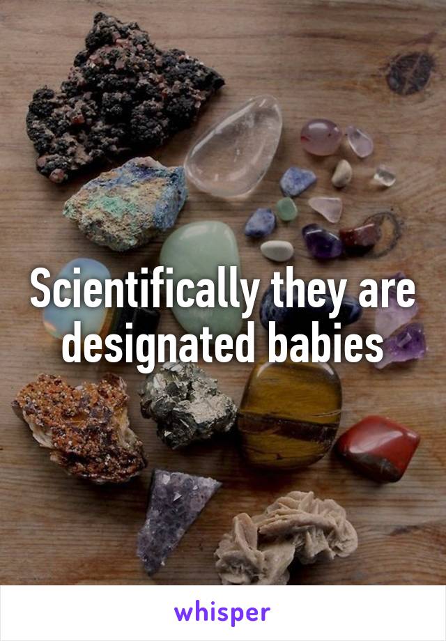 Scientifically they are designated babies