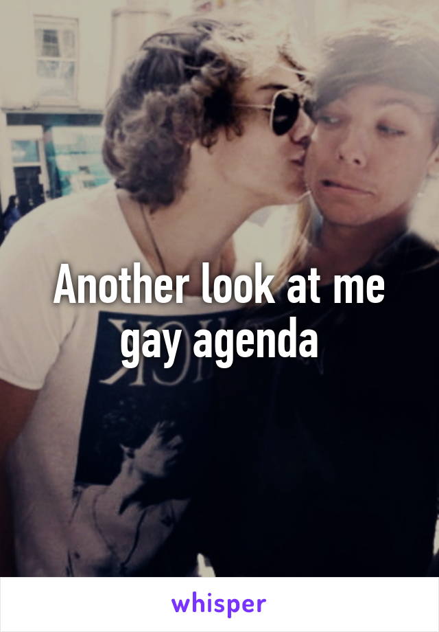 Another look at me gay agenda